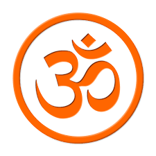 RSS Logo
